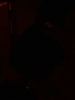 DimageV$B$G;#1F(J
