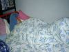 DS-20$B$K$h$k;#1F%G!<%?(J(400*300)
