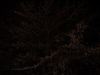 DC-3Z$B$K$h$k;#1F%G!<%?(J(400*300)