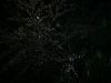 DS-20$B$K$h$k;#1F%G!<%?(J(400*300)
