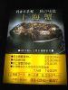 MP-EG10による撮影データ(400*300)