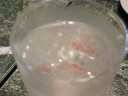 DSC-V100$B$K$h$k;#1F%G!<%?(B(640*480)
