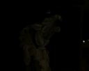 C-1400XL$B$K$h$k;#1F%G!<%?(B