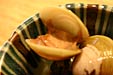 $B<L??!'%7%8%_$N>_L}DR$1(B(XO[$B@>1b(B]$Bid;F(B)